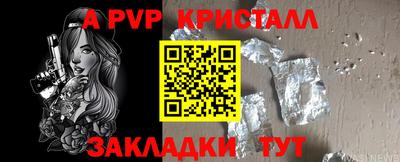 СК Новодвинск