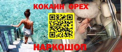 СК Новодвинск
