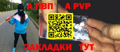 СК Новодвинск