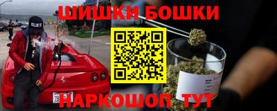 2c-b Новозыбков