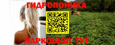 СК Новодвинск