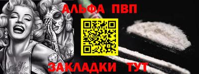 СК Новодвинск